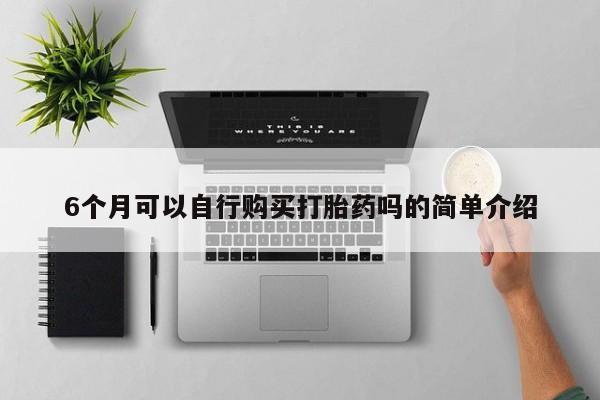 打胎药药店有卖吗私人6个月可以自行购买打胎药吗的简单介绍